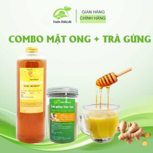 combo mật ong hoa cà phê + trà gừng hòa tan