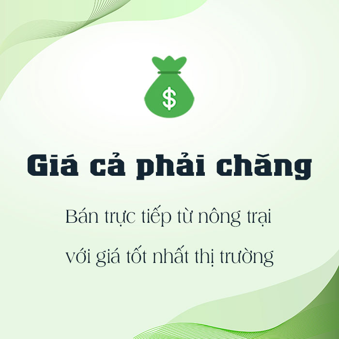 Giá cả phải chăng